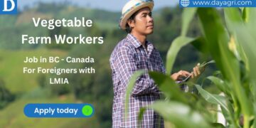 30 Vegetable Farm Workers Needed in BC - Canada For Foreigners with LMIA