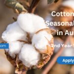 Cotton Ginning Seasonal Positions in Australia (2nd Year Visa Eligible)