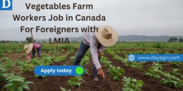 Vegetables Farm Workers Job in Canada For Foreigners with LMIA