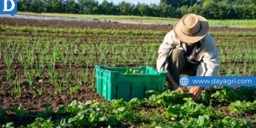 150 Hardworking Farm Workers Wanted Urgently