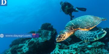 Volunteer in Australia – Help Out on the Great Barrier Reef