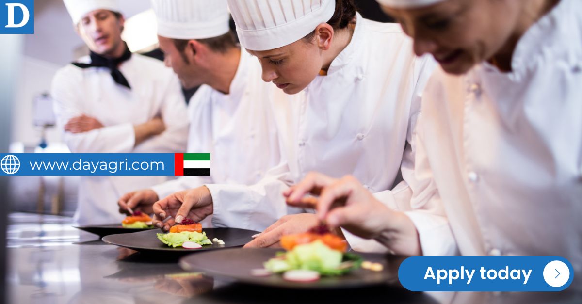 Work in Dubai as a Chef Assistant – Visa Sponsorship Available!